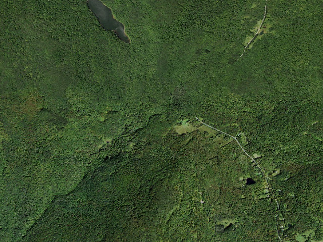 Aerial image of Russell Brook Falls Accessible Primitive Campsite [DEC #16519] (Delaware Wild Forest)