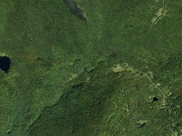 Aerial image of Russell Brook Primitive Campsite [DEC #16453] (Delaware Wild Forest)