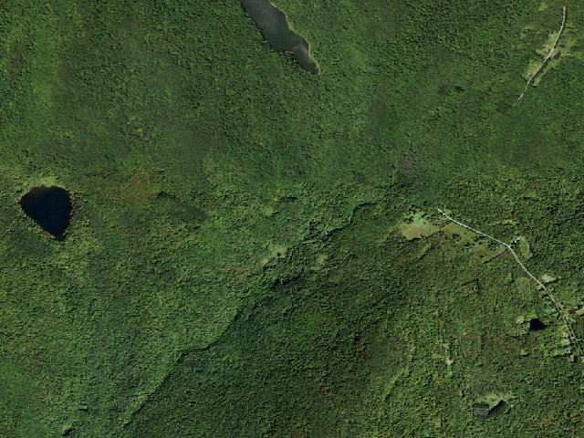 Aerial image of Russell Brook Primitive Campsite [DEC #16598] (Delaware Wild Forest)