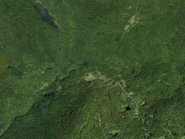 Aerial image of Russell Brook Primitive Campsite [DEC #20968] (Delaware Wild Forest)