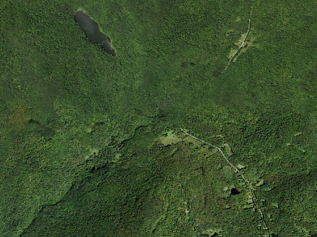 Aerial image of Russell Brook Primitive Campsite [DEC #20972] (Delaware Wild Forest)
