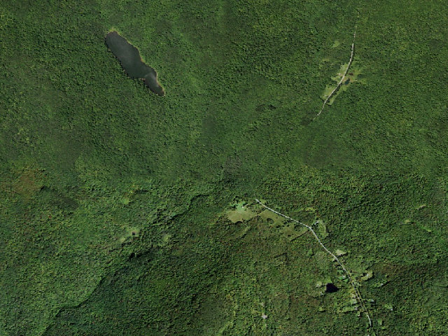 Aerial image of Russell Brook Primitive Campsite [DEC #20973] (Delaware Wild Forest)