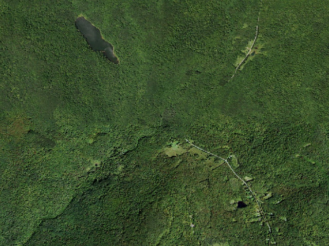 Aerial image of Russell Brook Primitive Campsite [DEC #20975] (Delaware Wild Forest)