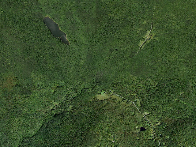 Aerial image of Russell Brook Primitive Campsite [DEC #20978] (Delaware Wild Forest)