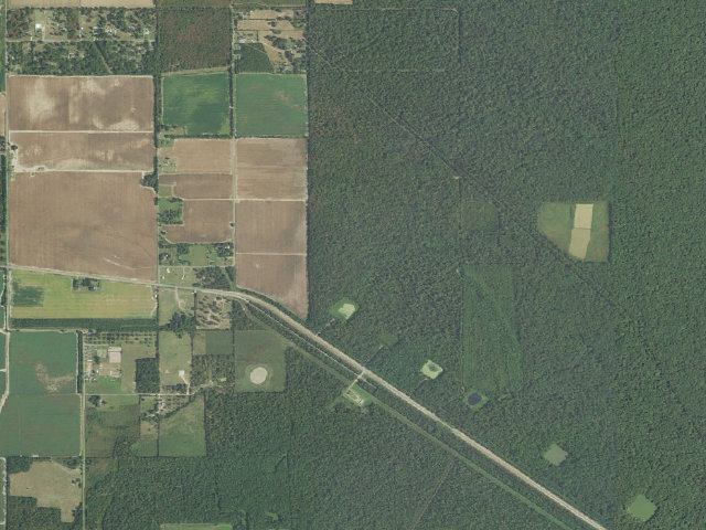 Aerial image of Russell Sage WMA primitive camping area 1