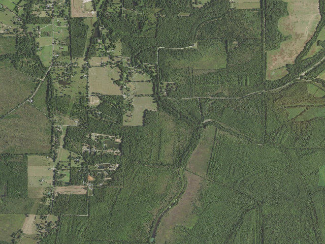 Aerial image of Russell Sage WMA primitive camping area 2
