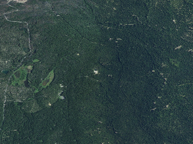 Aerial image of Rye Spur Horse Camp