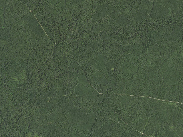 Aerial image of Saddle Bayou Hunter Camp