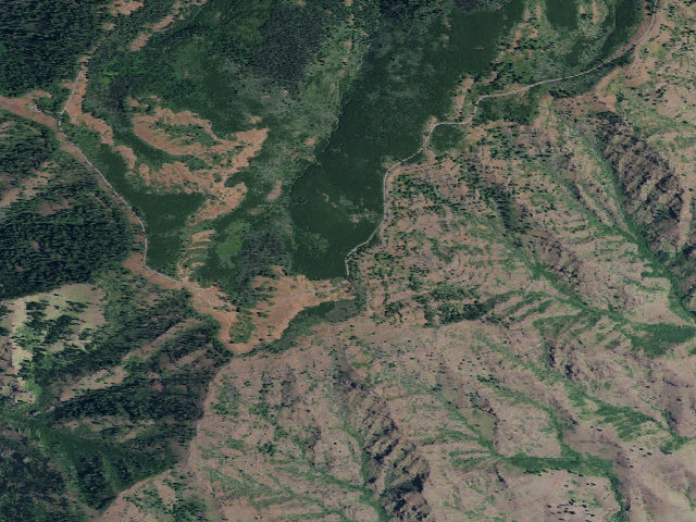 Aerial image of Saddle Creek Campground