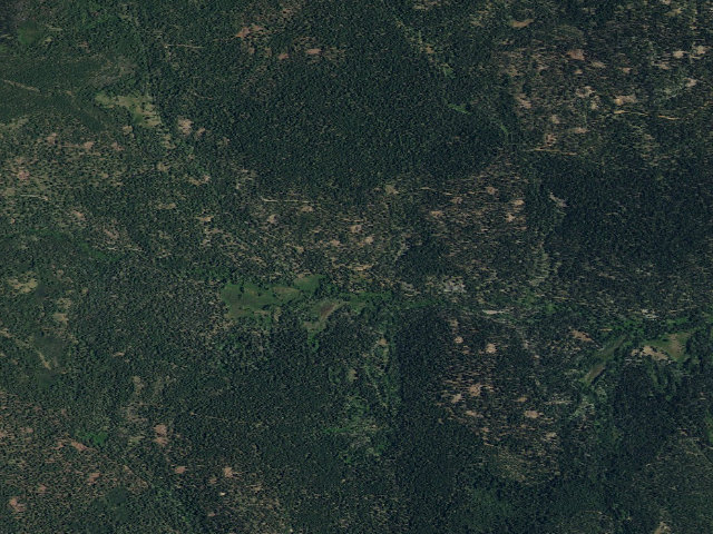 Aerial image of Sagehen Creek