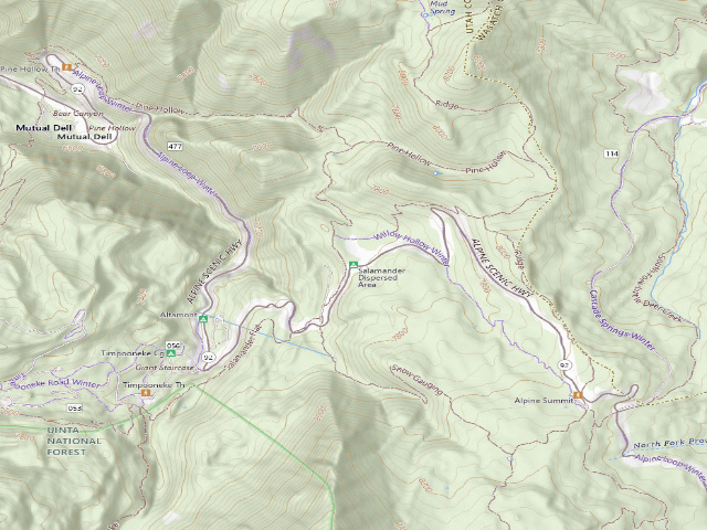 USGS topographic map of Salamander Flat