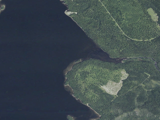 Aerial image of Salmon Island (Moosehead Lake Shoreline Public Land)