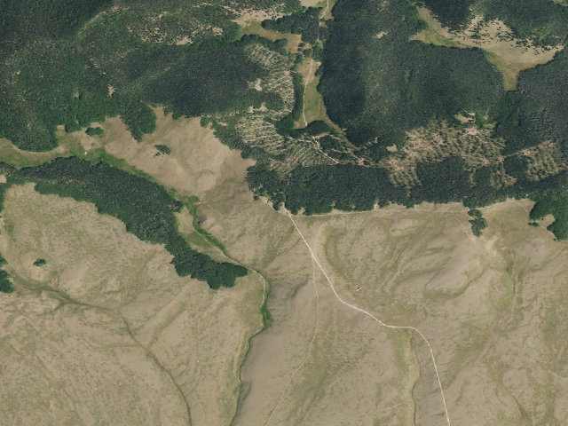 Aerial image of Salt House