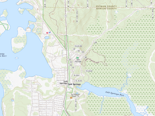 USGS topographic map of Salt Springs