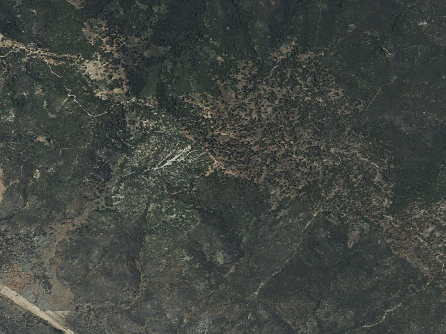Aerial image of San Bernardino National Forest
