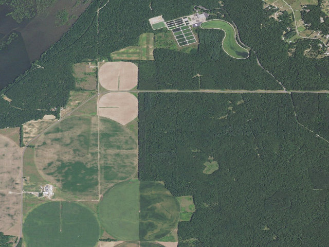 Aerial image of Sand Ridge State Forest - Backcountry Site 1