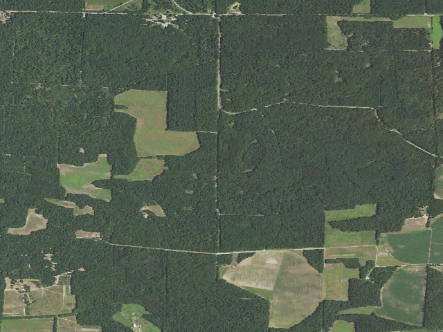 Aerial image of Sand Ridge State Forest - Backcountry Site 11
