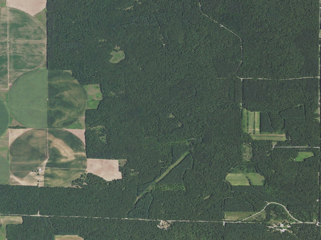 Aerial image of Sand Ridge State Forest - Backcountry Site 4
