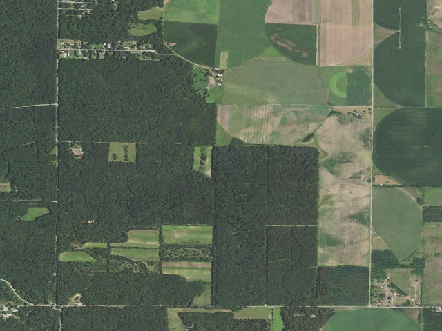 Aerial image of Sand Ridge State Forest - Backcountry Site 5