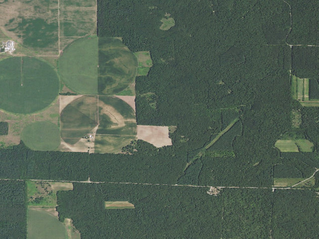 Aerial image of Sand Ridge State Forest - Backcountry Site 7