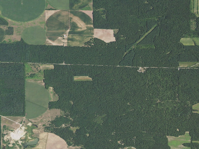 Aerial image of Sand Ridge State Forest - Backcountry Site 8