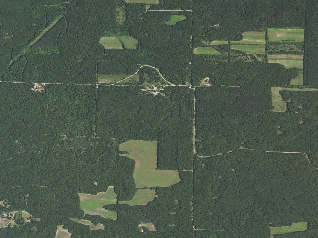 Aerial image of Sand Ridge State Forest - Backcountry Site 9