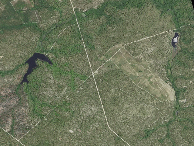 Aerial image of Sandhills Game Land camping area #1