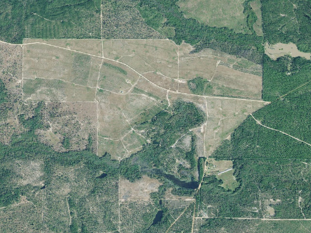 Aerial image of Sandhills WMA Primitive Campground #1