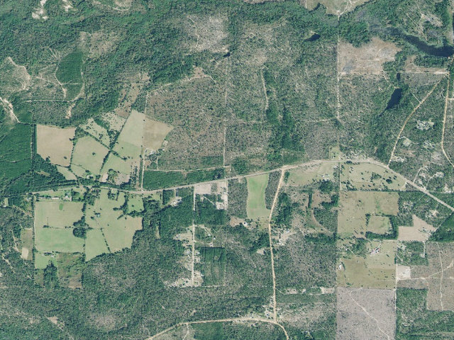Aerial image of Sandhills WMA Primitive Campground #2