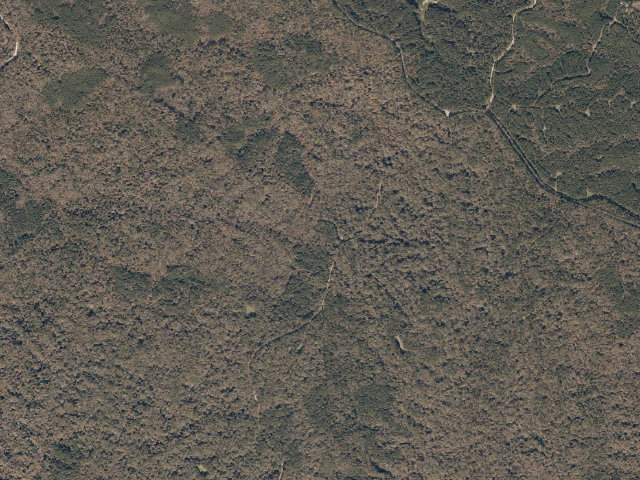Aerial image of Sandy Creek WMA camp site 1