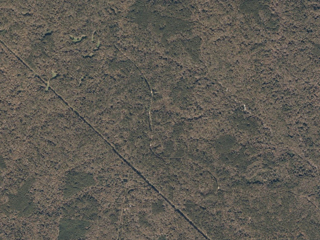 Aerial image of Sandy Creek WMA camp site 2