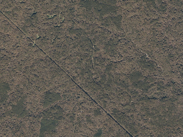 Aerial image of Sandy Creek WMA camp site 3
