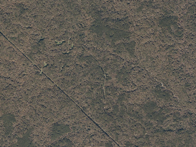 Aerial image of Sandy Creek WMA camp site 4