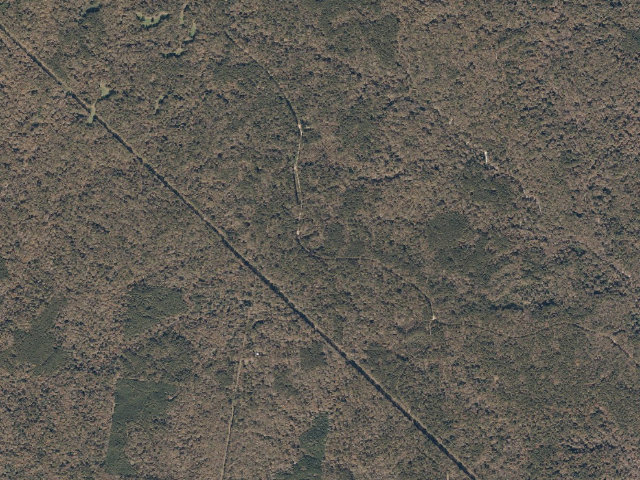 Aerial image of Sandy Creek WMA camp site 5