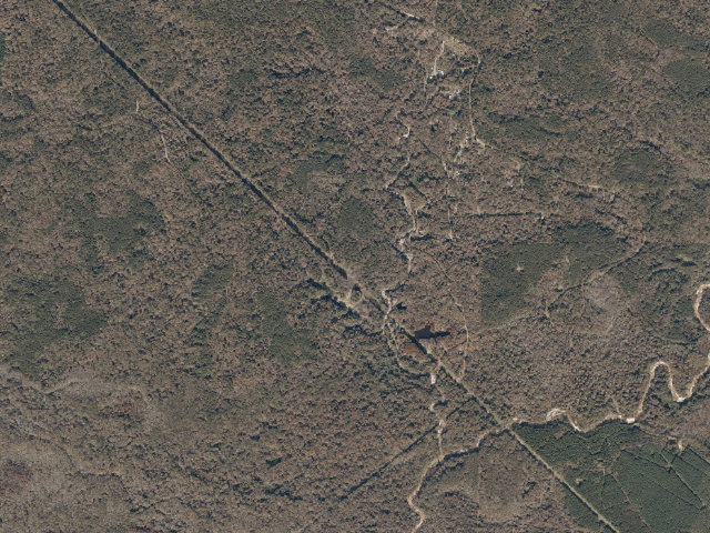 Aerial image of Sandy Creek WMA camp site 6