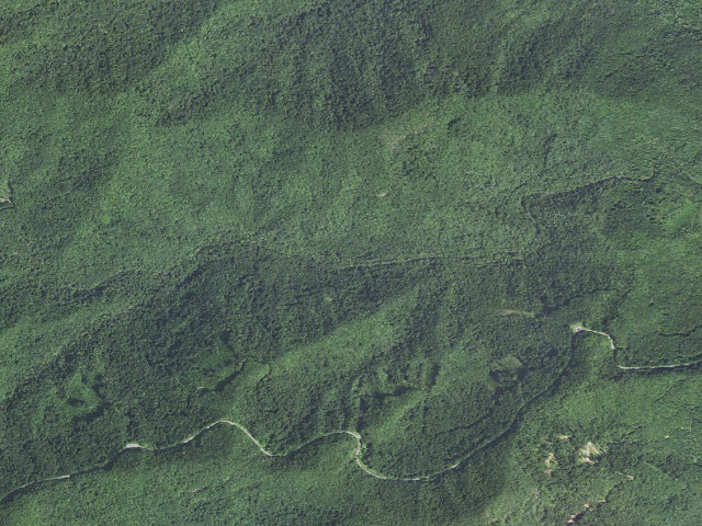 Aerial image of Santeetlah Creek Campsites