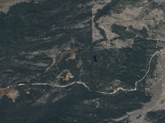 Aerial image of Sap Tree