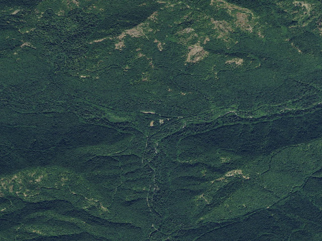 Aerial image of Satsop Center