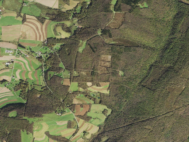 Aerial image of Savage River State Forest Margraff Plantation campsite 175-176