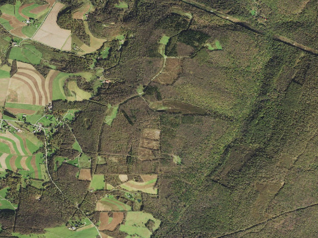 Aerial image of Savage River State Forest Margraff Plantation campsite 174