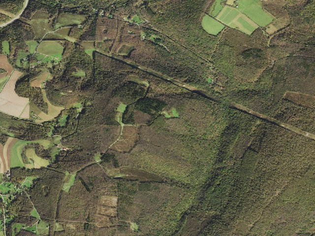 Aerial image of Savage River State Forest Margraff Plantation campsite 173