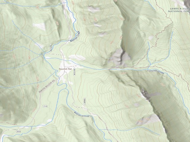 USGS topographic map of Saw Mill Flats -01