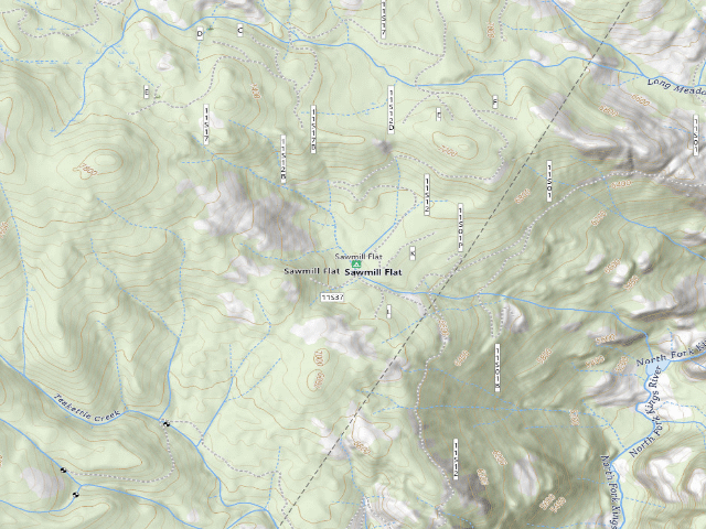 USGS topographic map of Sawmill Flat