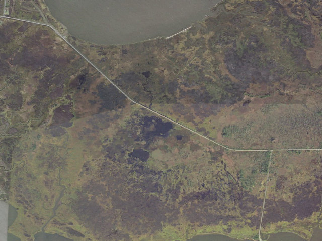 Aerial image of Saxis WMA
