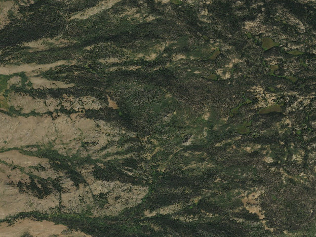 Aerial image of Scab Creek Primitive Area