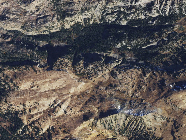 Aerial image of Scotch Bonnet-005