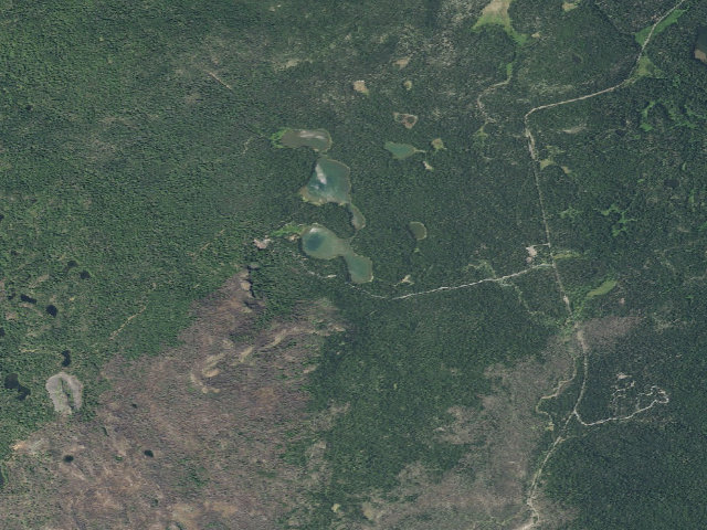 Aerial image of Scott Lake