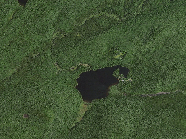 Aerial image of Scout Point Primitive Tent Site (Moose River Plains Wild Forest)