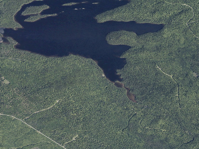 Aerial image of Scraggly Woodland (Scraggly Lake Public Land)