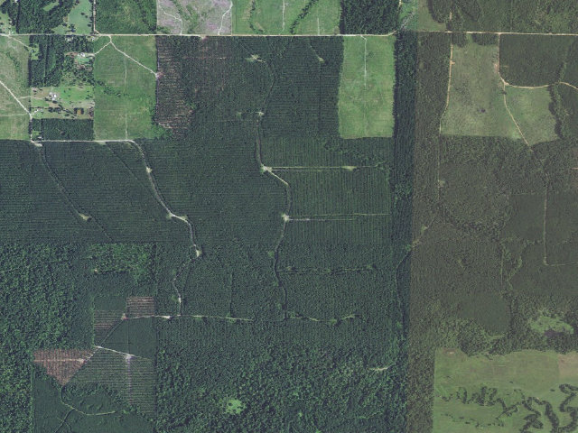 Aerial image of SE Shinewell Camp Spot (Herron Family WMA)